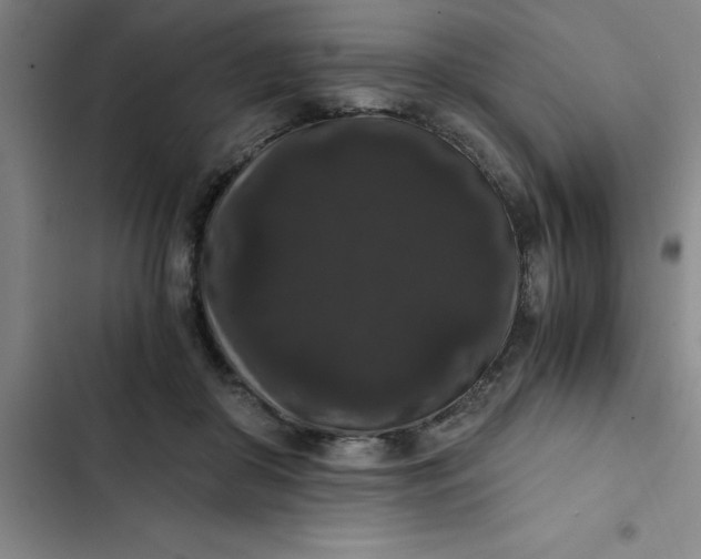 X0000102480410200808221712