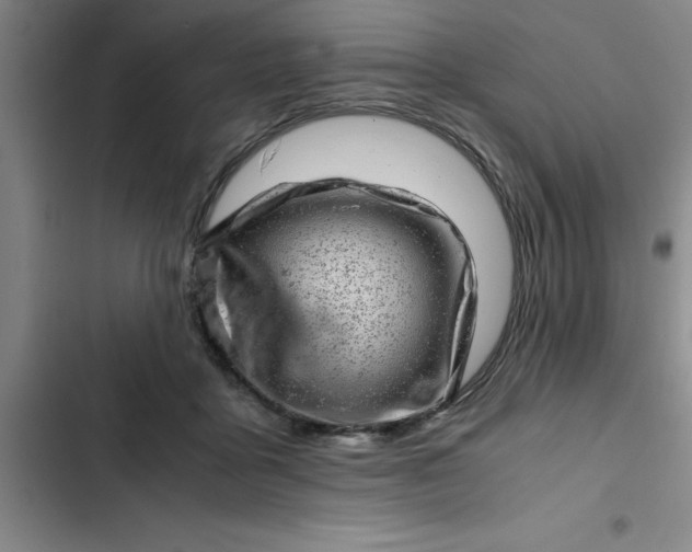 X0000102480411200808221712