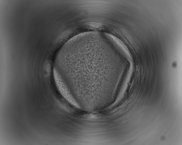 X0000102480412200808221712