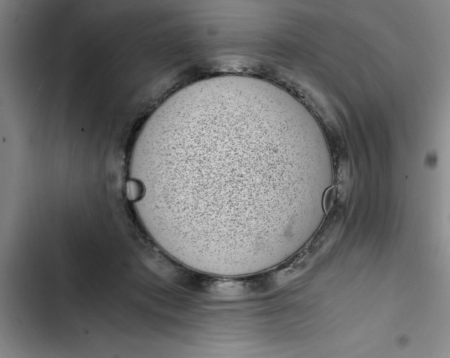 X0000102480413200808221712