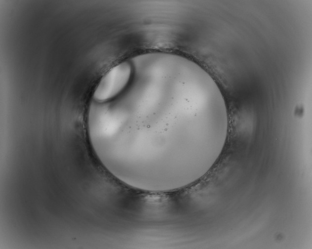 X0000102480415200808221712