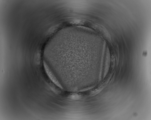 X0000102480416200808221712