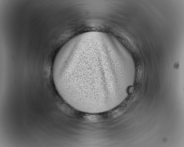 X0000102480417200808221712