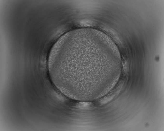 X0000102480418200808221711