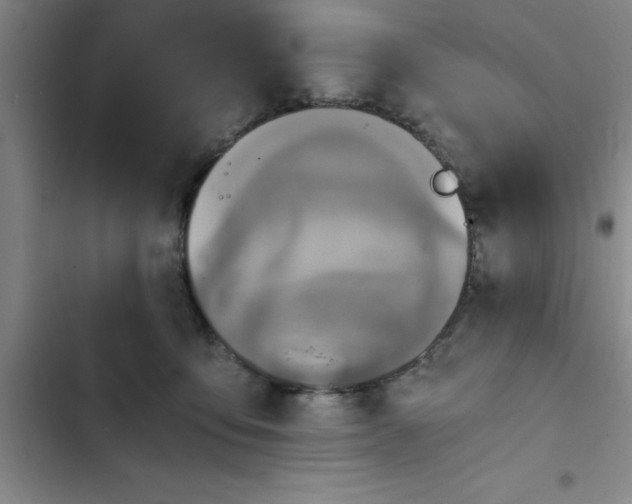 X0000102480419200808221711