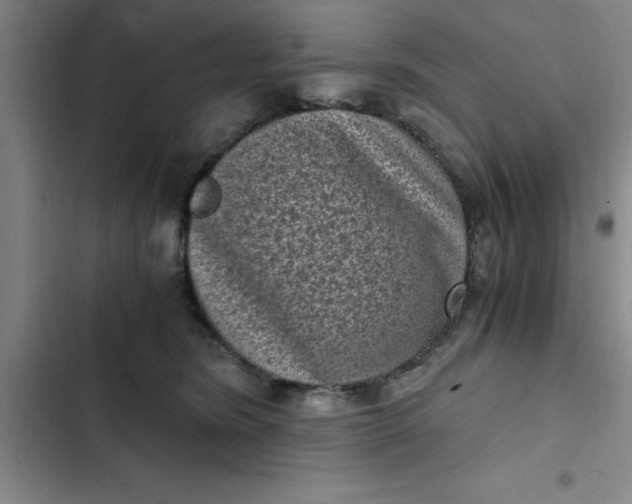 X0000102480420200808221711