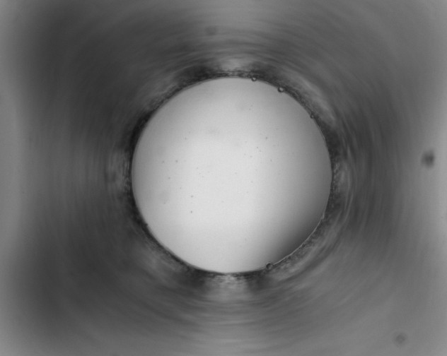 X0000102480421200808221711