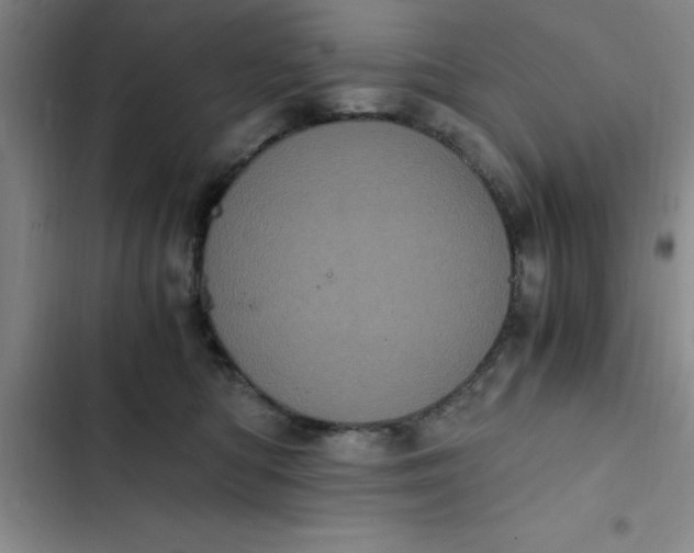 X0000102480422200808221711