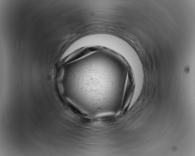 X0000102480423200808221711