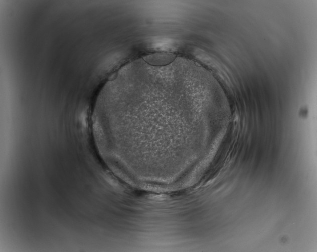 X0000102480424200808221711