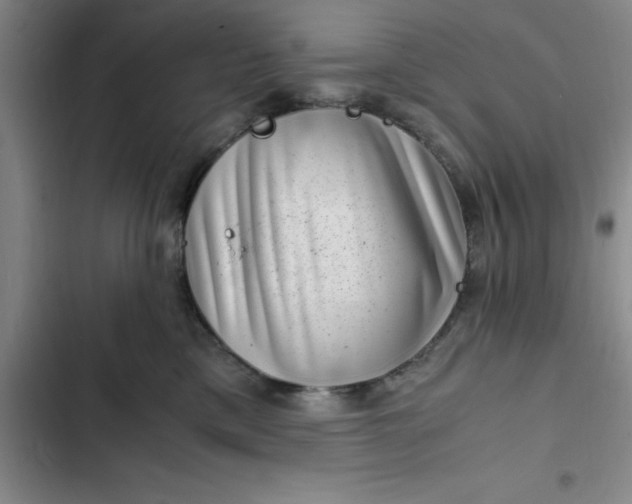 X0000102480425200808221711