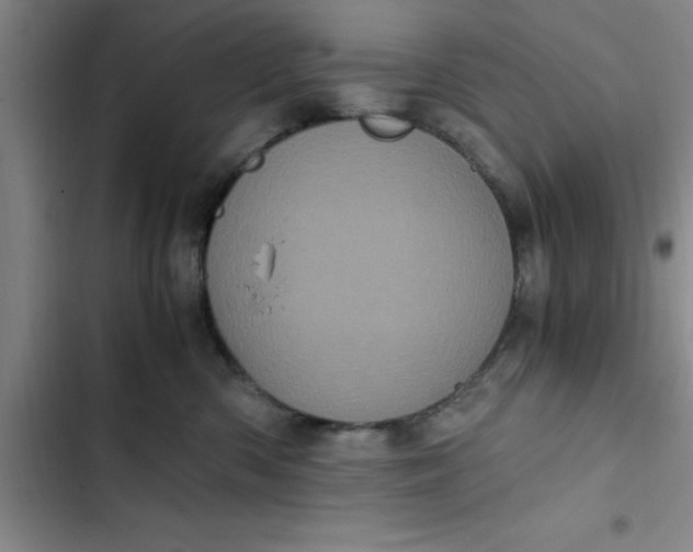 X0000102480426200808221711