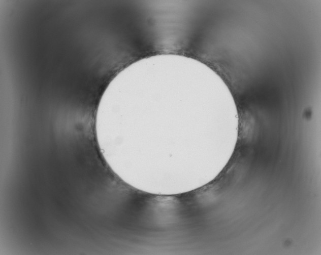 X0000102480427200808221711