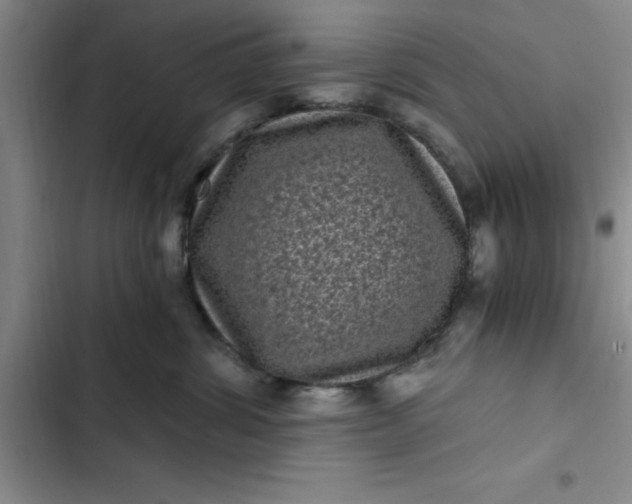 X0000102480428200808221711