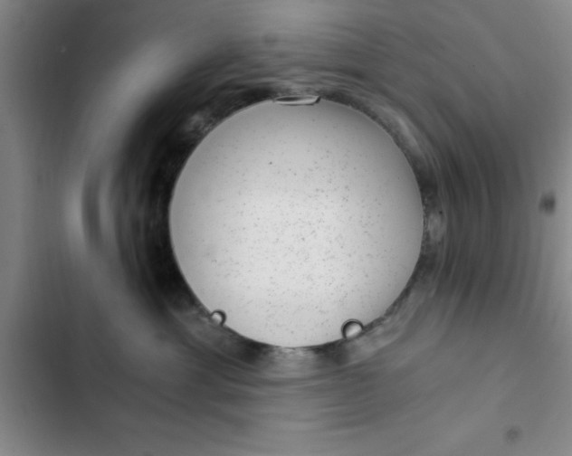 X0000102480429200808221711