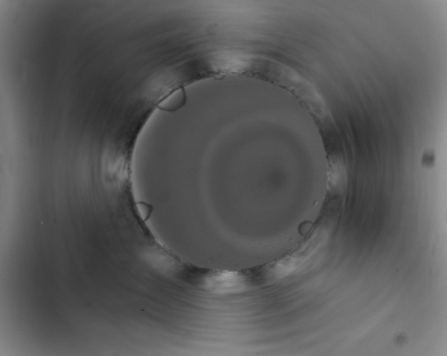 X0000102480431200808221711