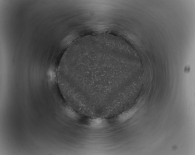 X0000102480432200808221711