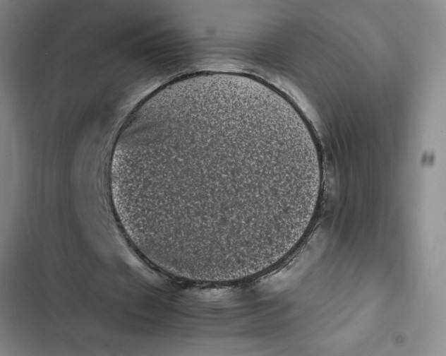 X0000102480433200808221710