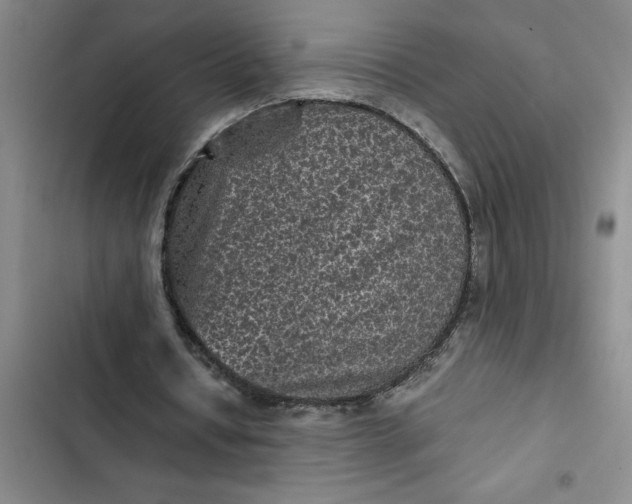 X0000102480434200808221710