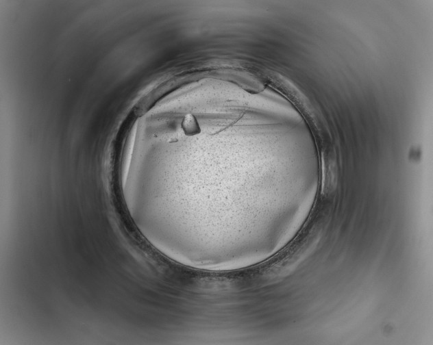 X0000102480435200808221710