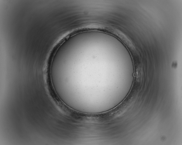 X0000102480436200808221710