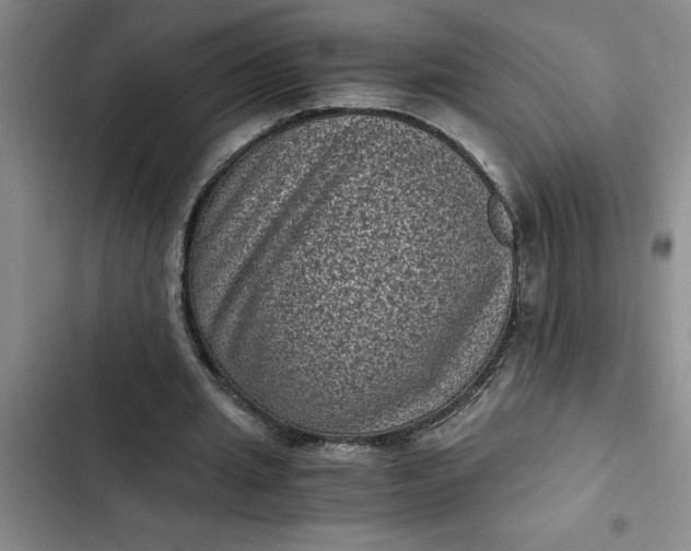 X0000102480437200808221710