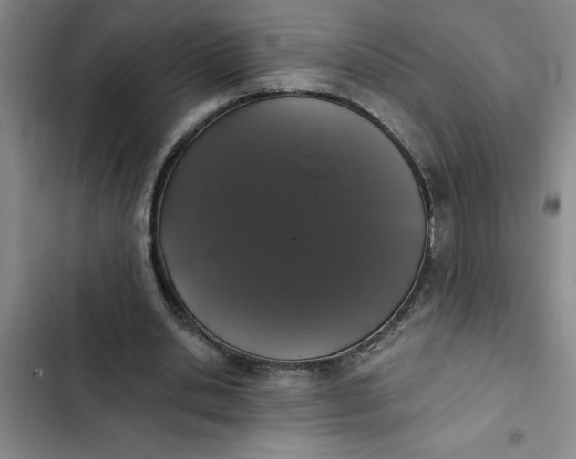 X0000102480438200808221710