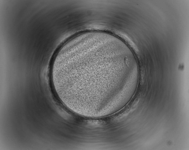 X0000102480439200808221710