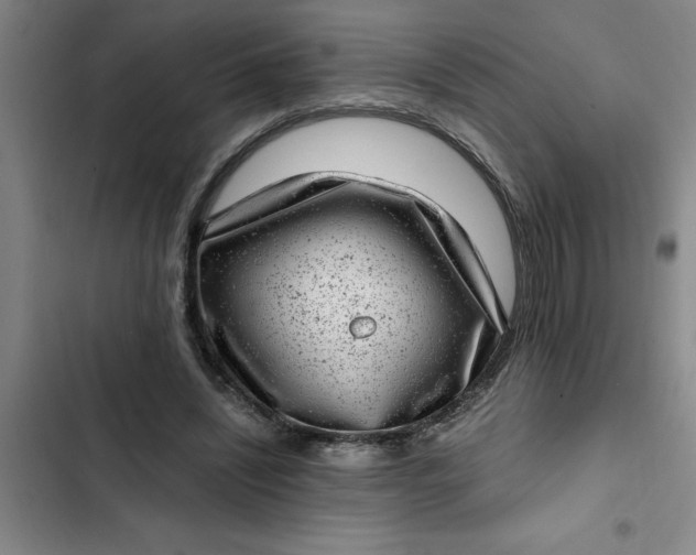 X0000102480444200808221711