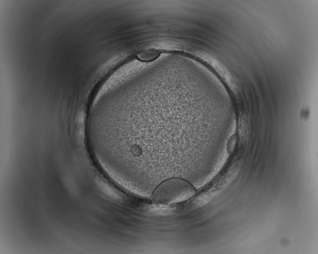 X0000102480445200808221711