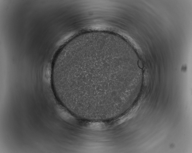 X0000102480446200808221711