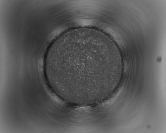 X0000102480447200808221711