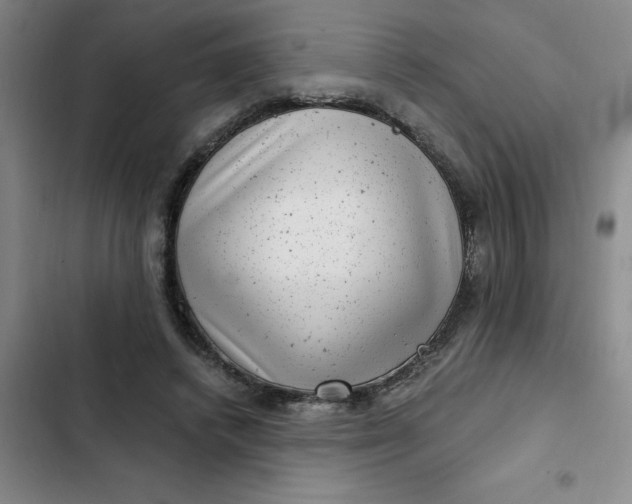 X0000102480448200808221711