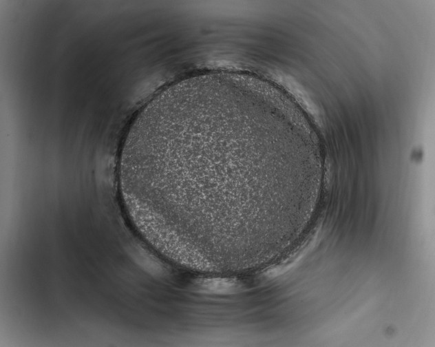 X0000102480449200808221711