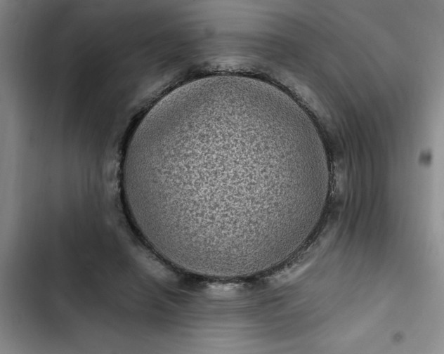 X0000102480450200808221711