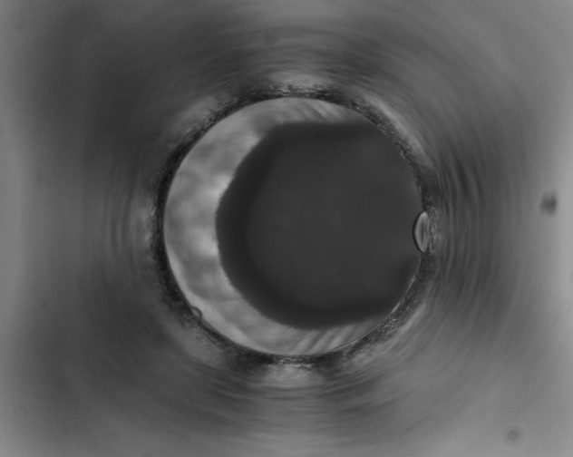 X0000102480451200808221711