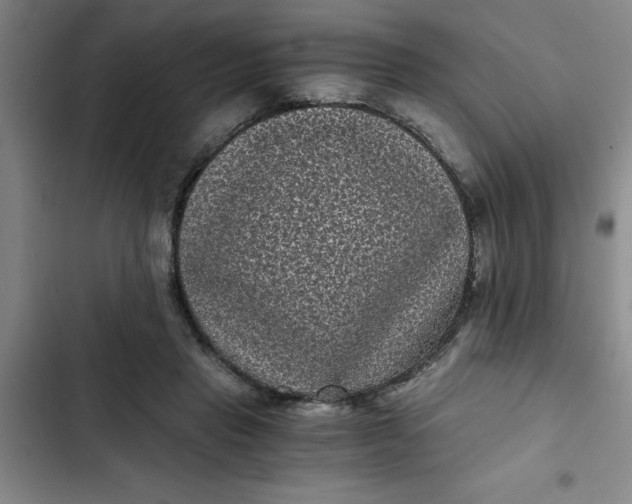 X0000102480453200808221711