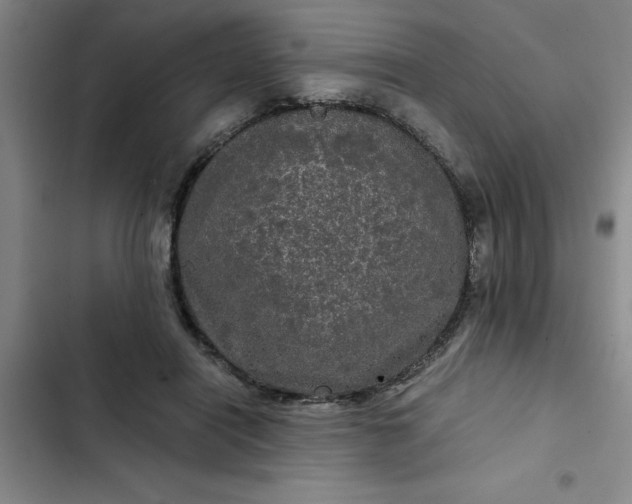 X0000102480454200808221711