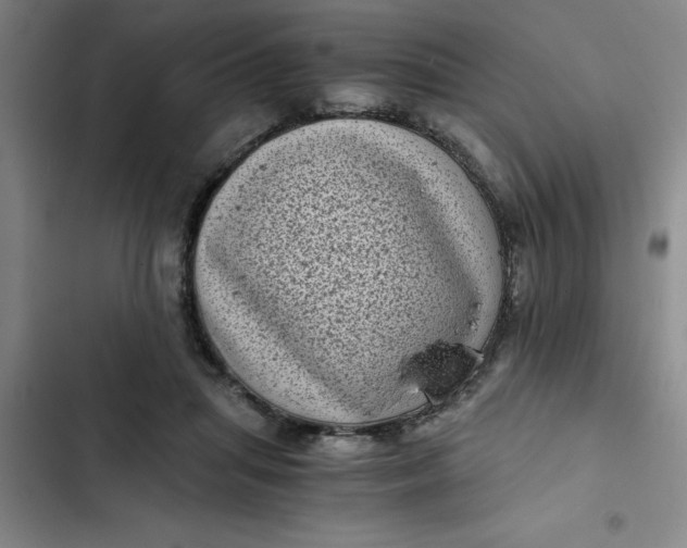 X0000102480455200808221711