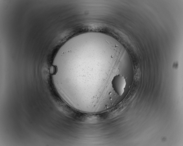 X0000102480456200808221711