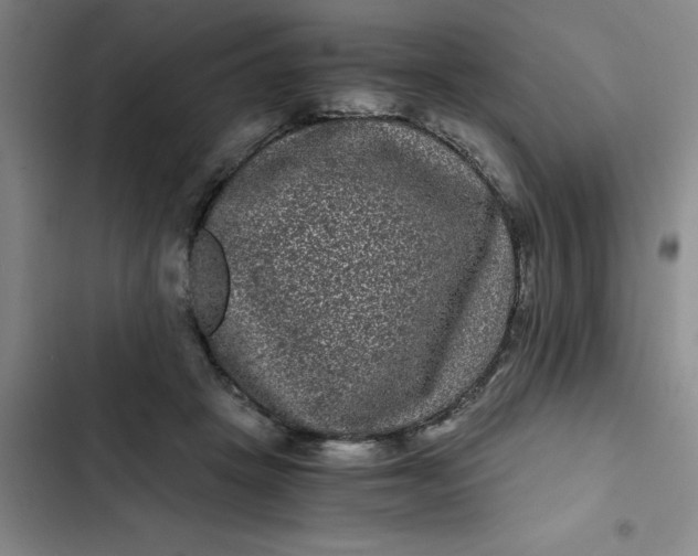 X0000102480457200808221711