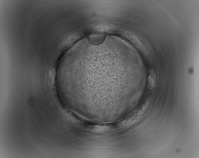 X0000102480458200808221711