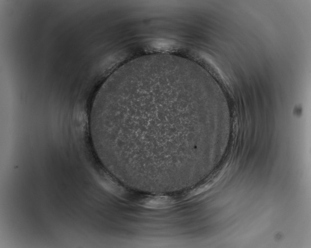 X0000102480459200808221711