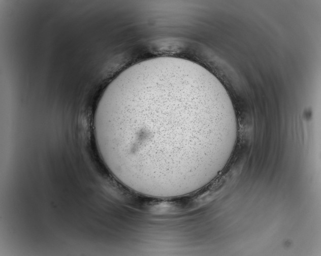 X0000102480460200808221711