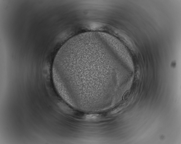 X0000102480461200808221711