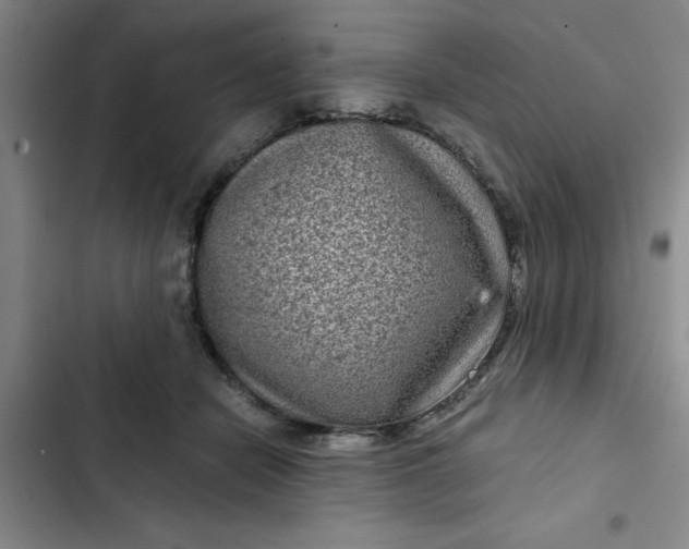 X0000102480462200808221711