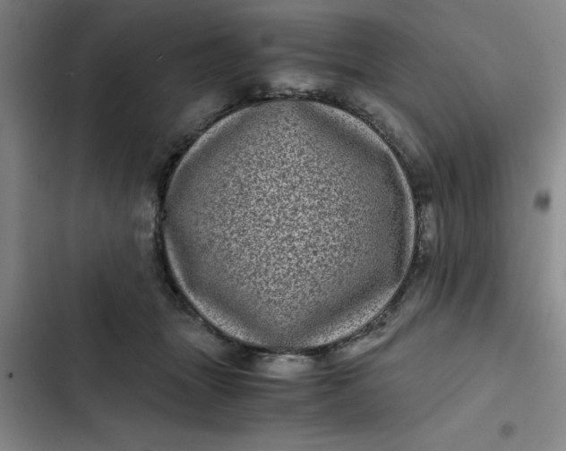 X0000102480463200808221711