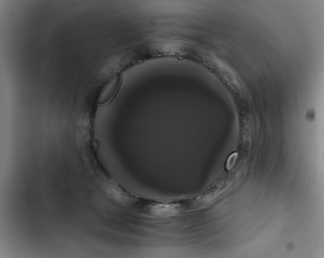 X0000102480465200808221711