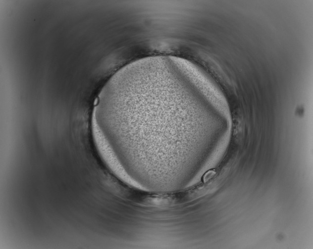 X0000102480466200808221711