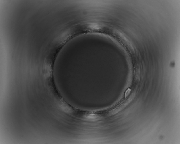 X0000102480467200808221711